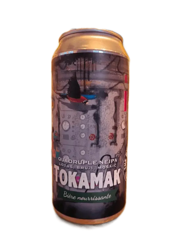 Tokamak