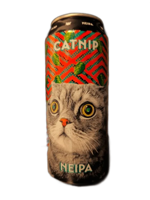 Catnip